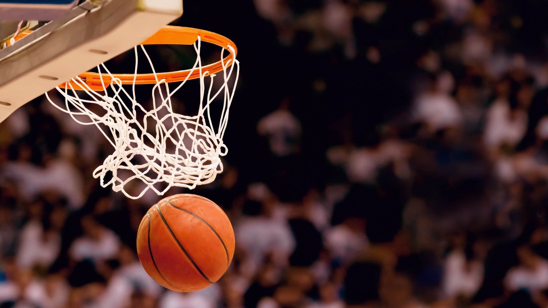 NBA西部风云，国王备战湖人微调，掘金连胜改格局